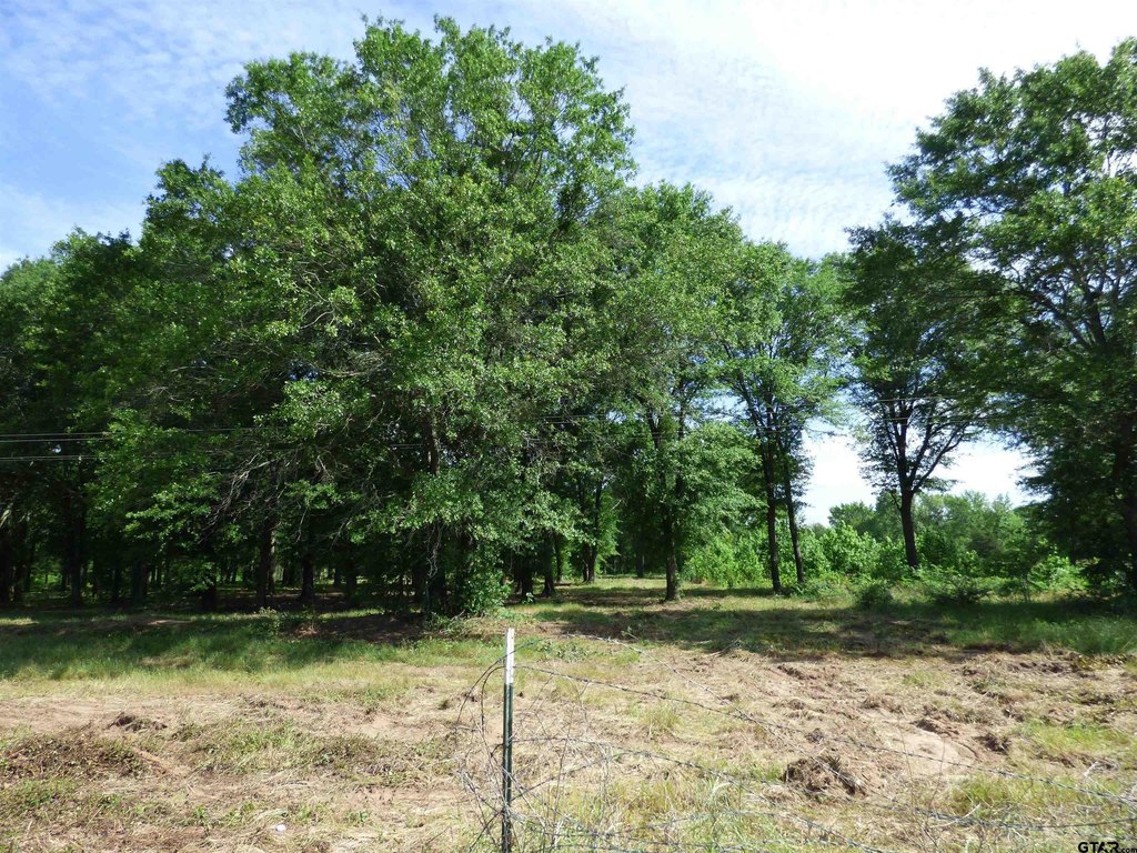 Picture 6
