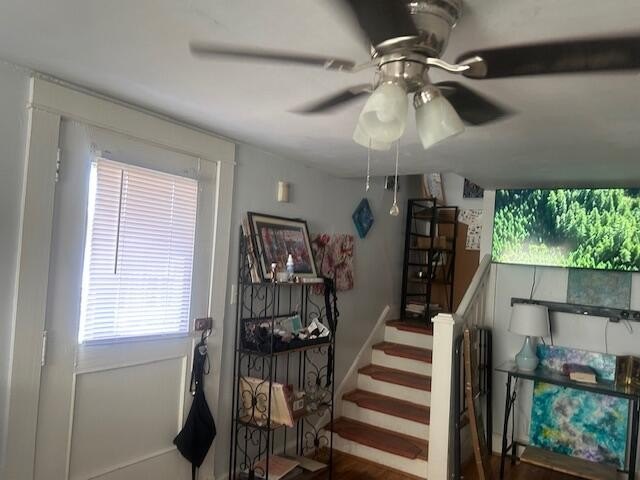Picture 17