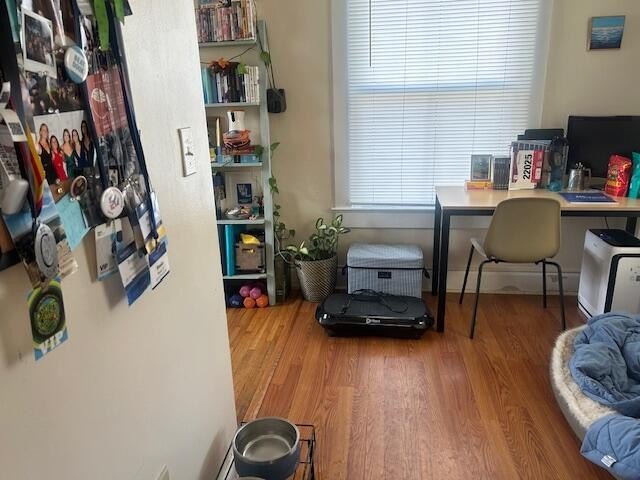Picture 9