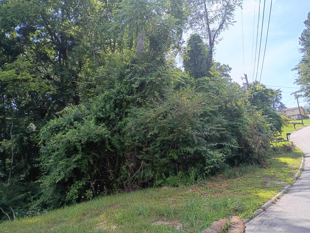 Picture 4