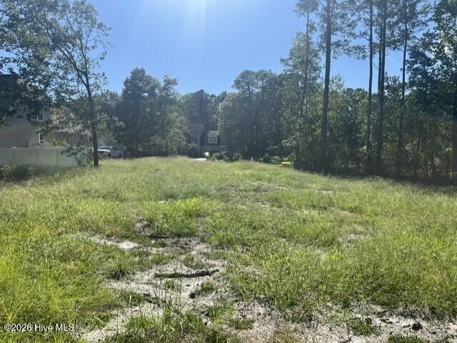 Picture 3