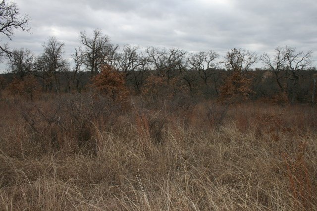 Picture 20