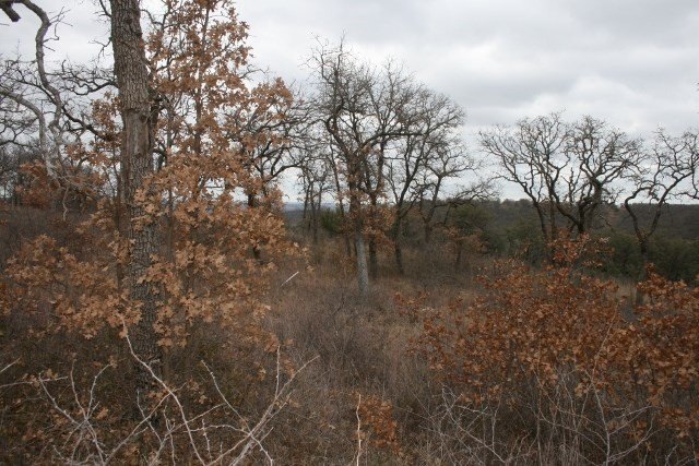 Picture 30