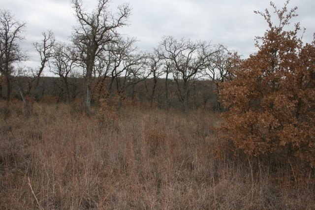 Picture 22