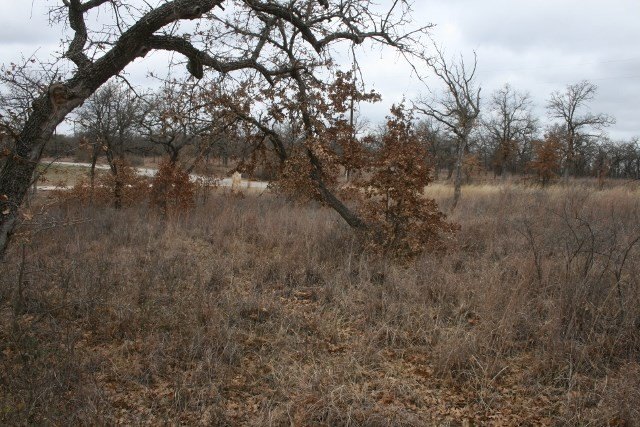 Picture 26