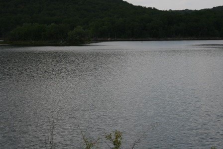 Picture 11
