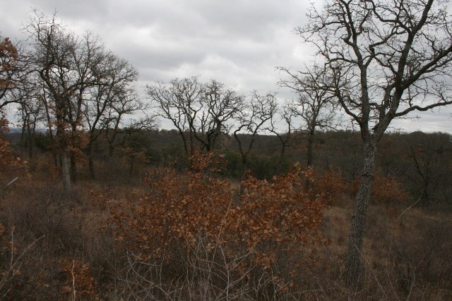 Picture 31