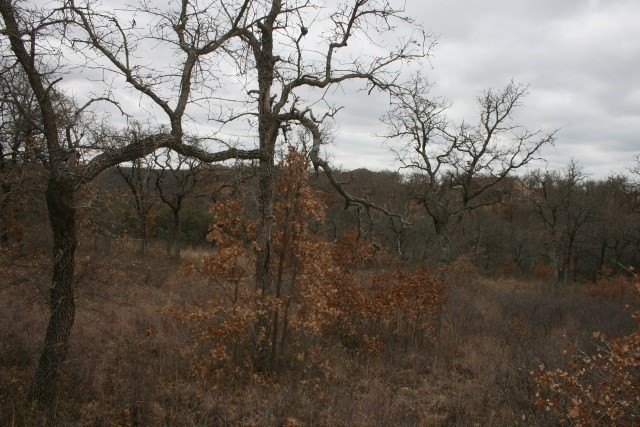 Picture 28