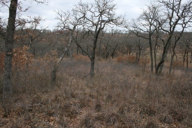 Picture 27