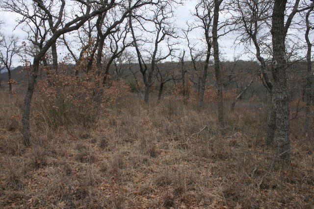 Picture 25