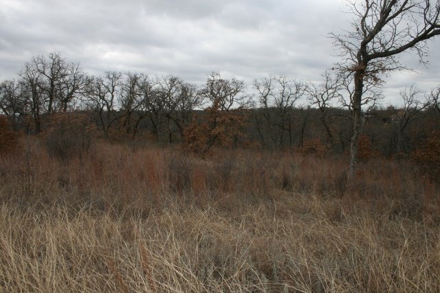 Picture 21