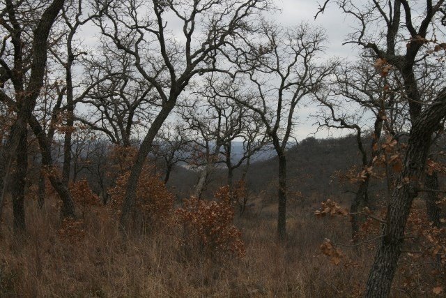 Picture 23