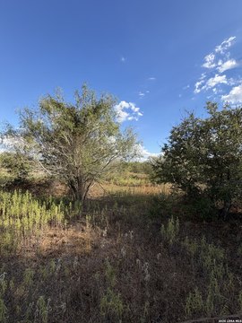 Land, Seguin, TX