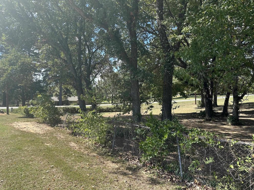 Picture 6
