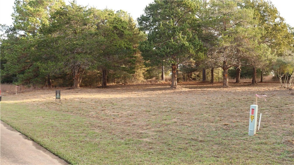 Picture 7