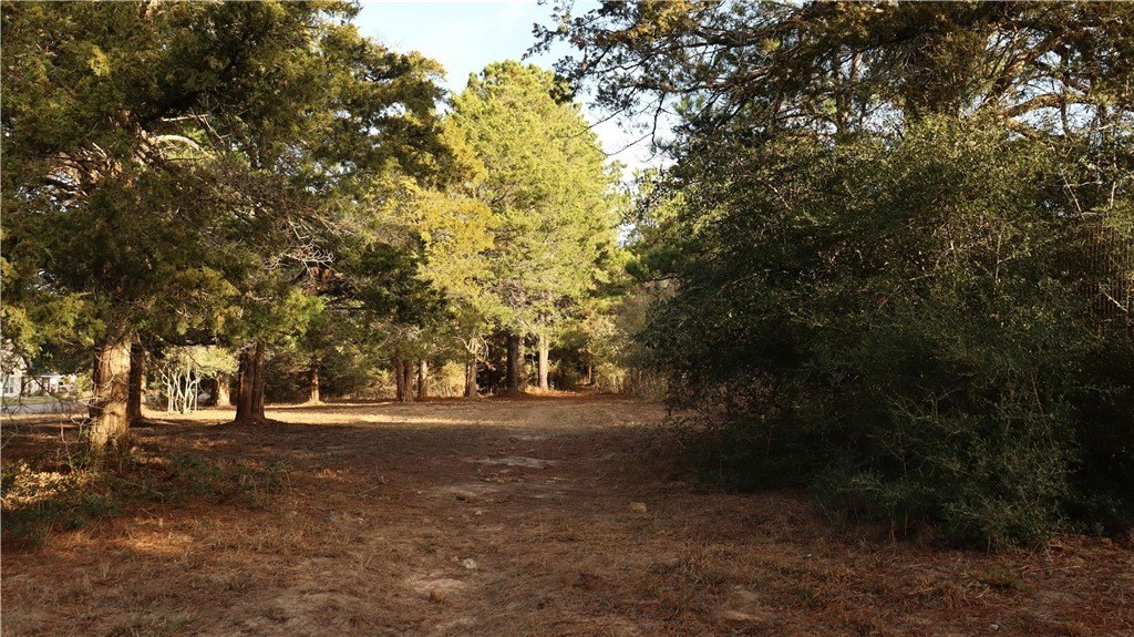 Picture 8