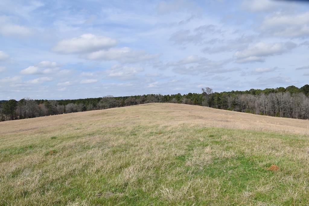 33 Acres in Palestine, TX