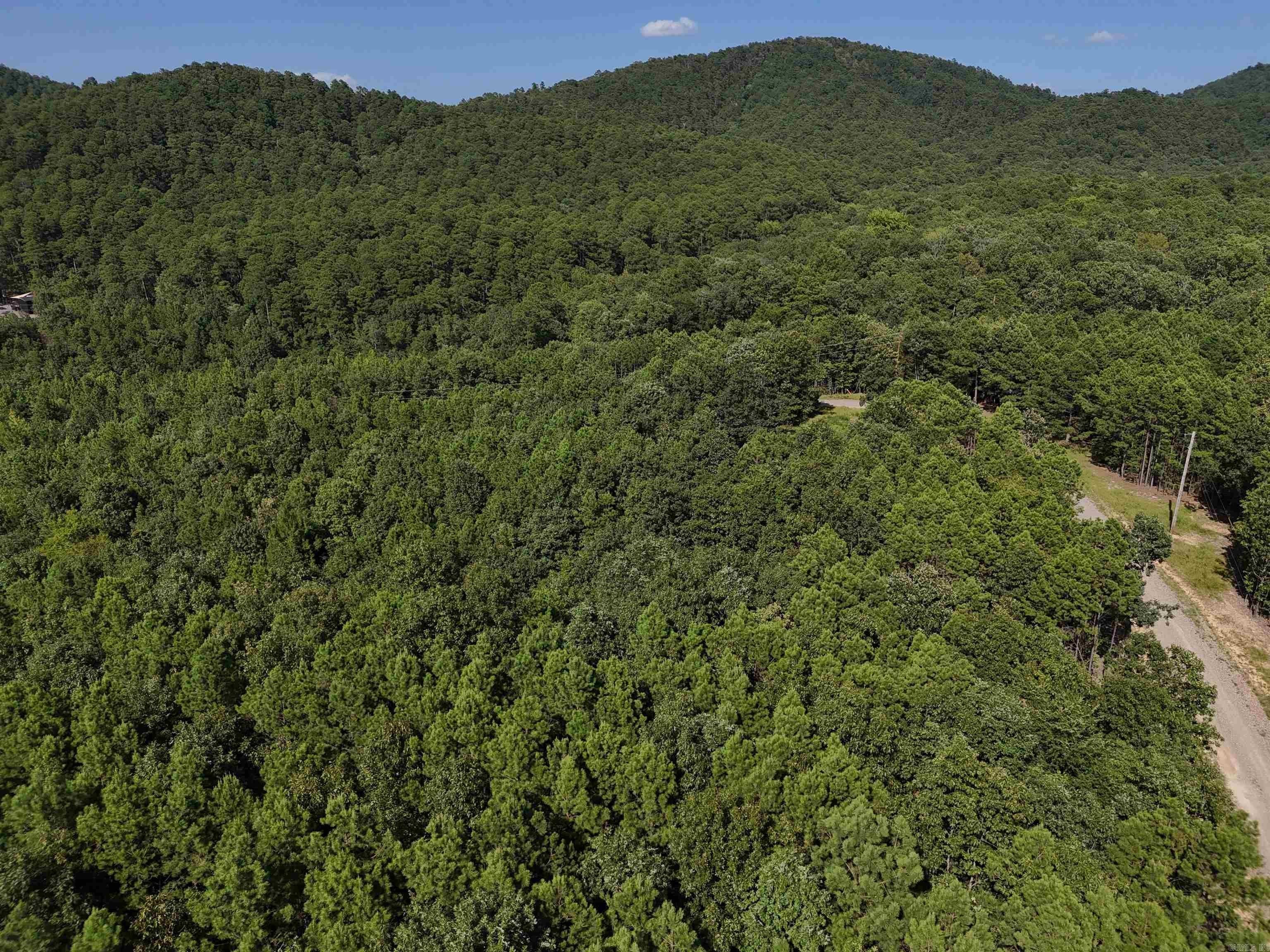 Mena, AR Land Parcel