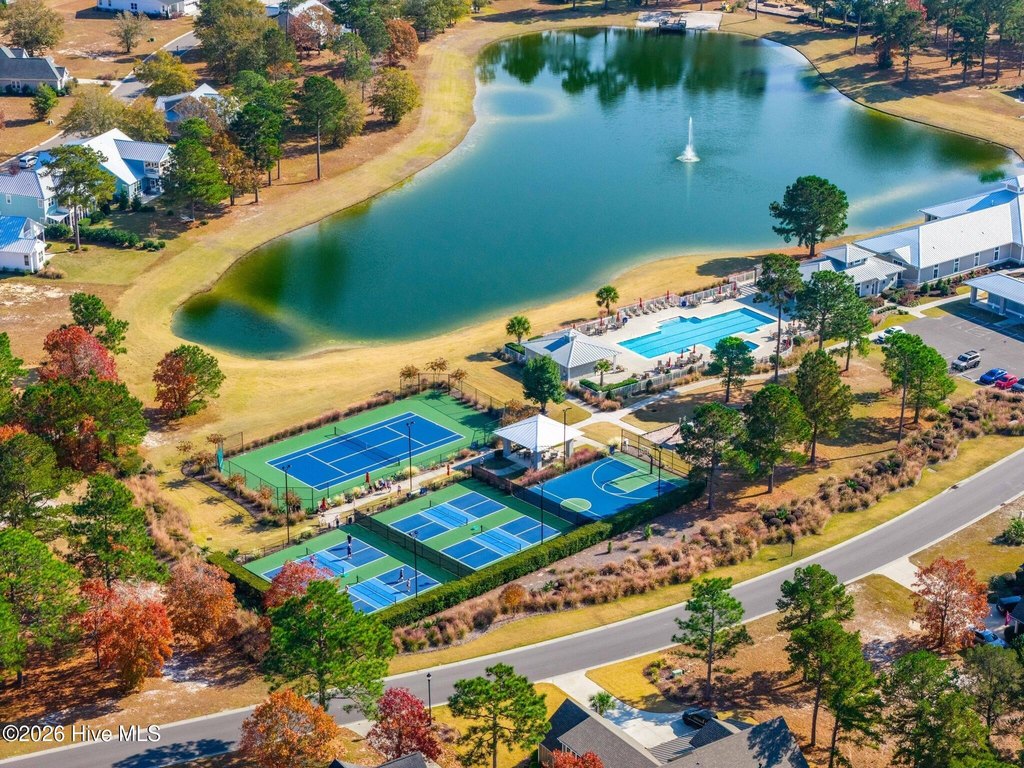 Picture 10