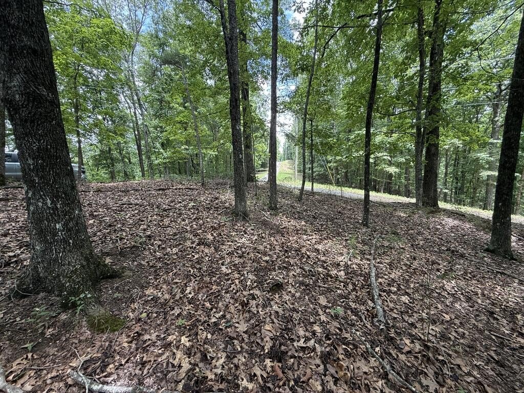 Picture 11