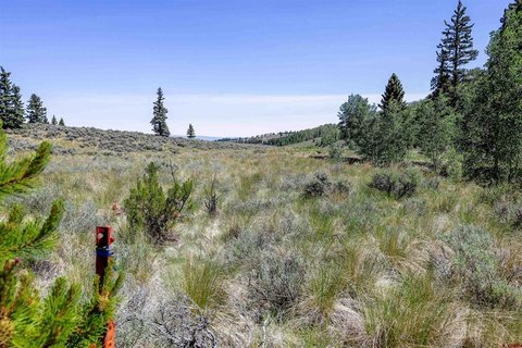 LAND, Powderhorn, CO