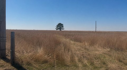 LAND - Channing, TX