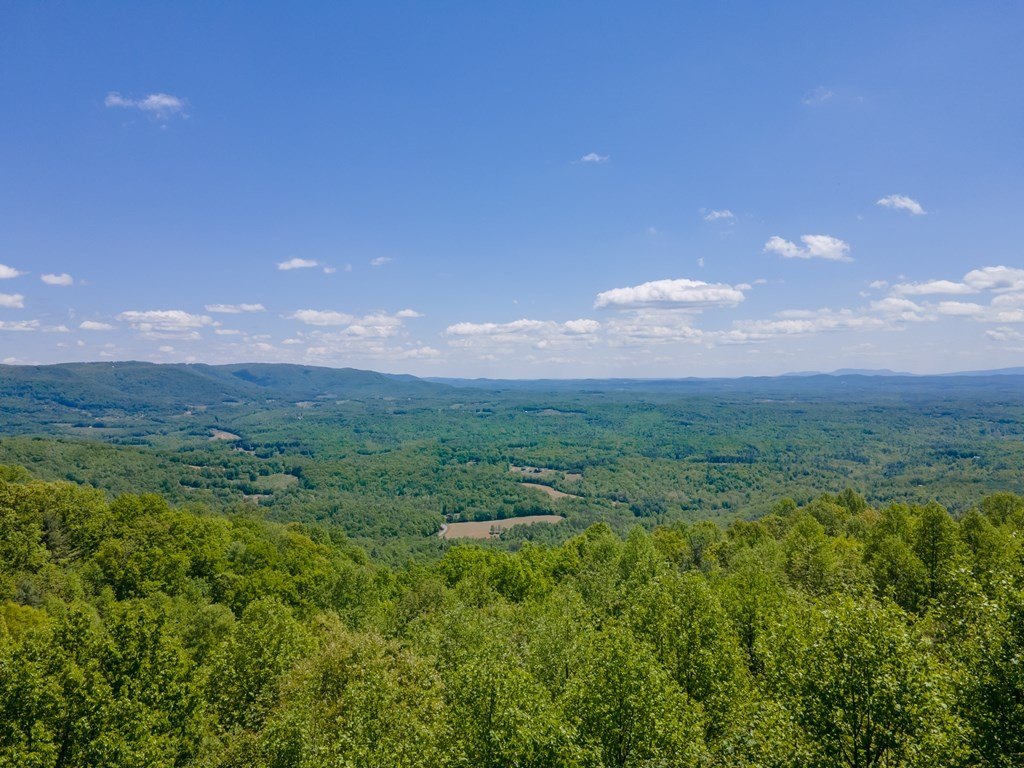 Picture 42