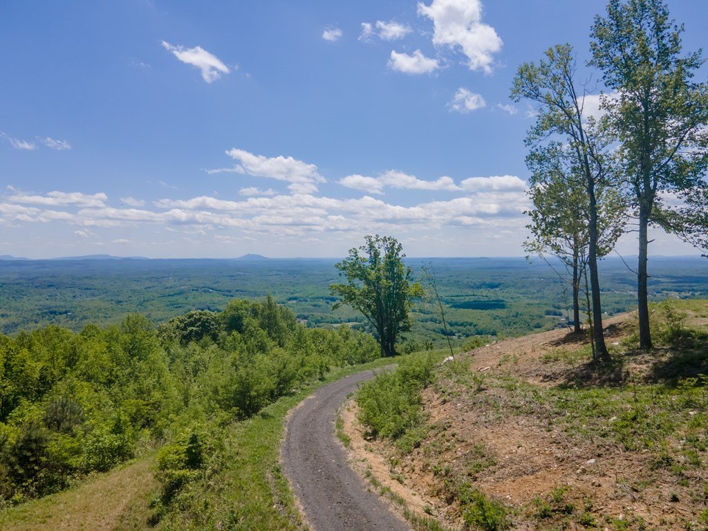 Picture 45