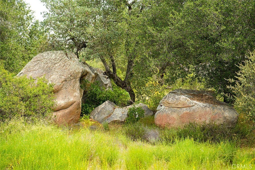 Picture 28