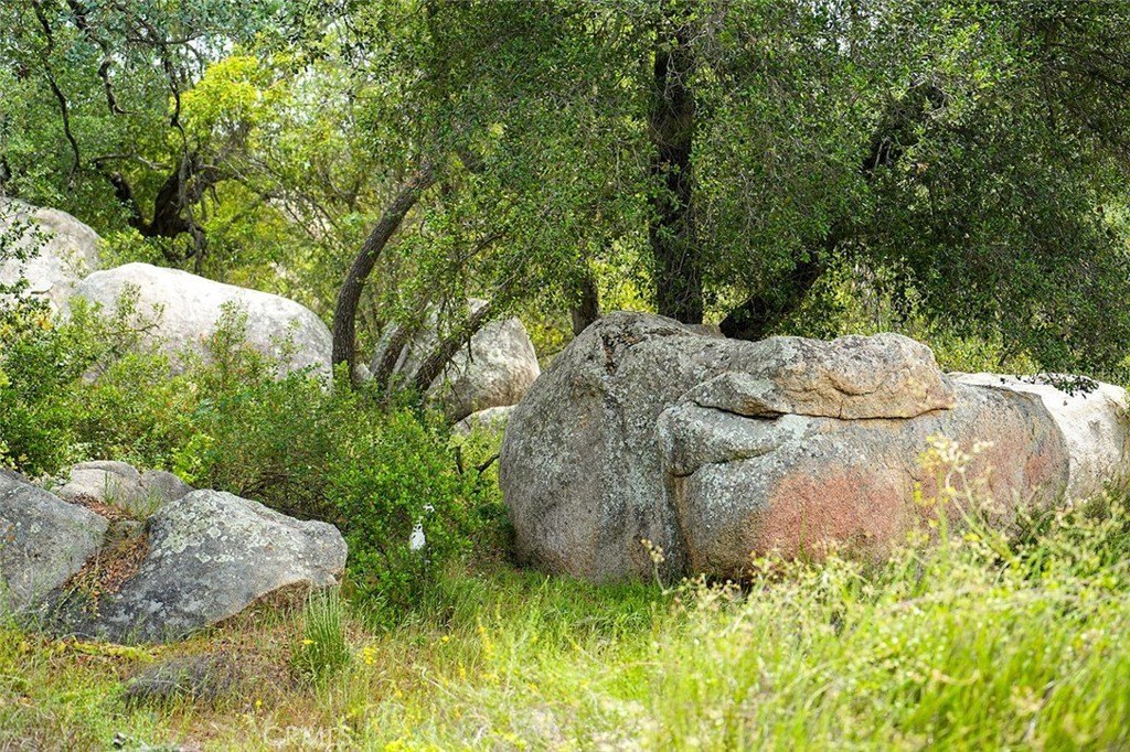 Picture 26