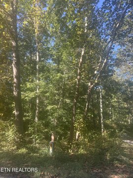 Lots & Acreage, Crossville, TN