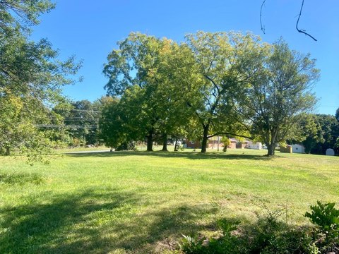 Buildable Lot in Madison Heights