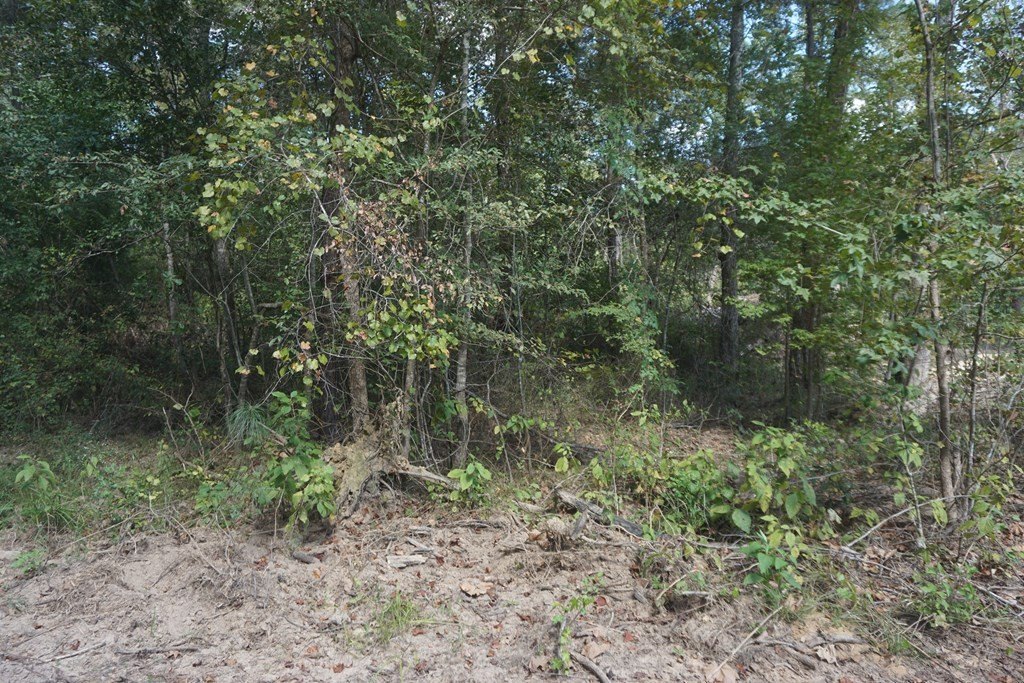 Picture 13