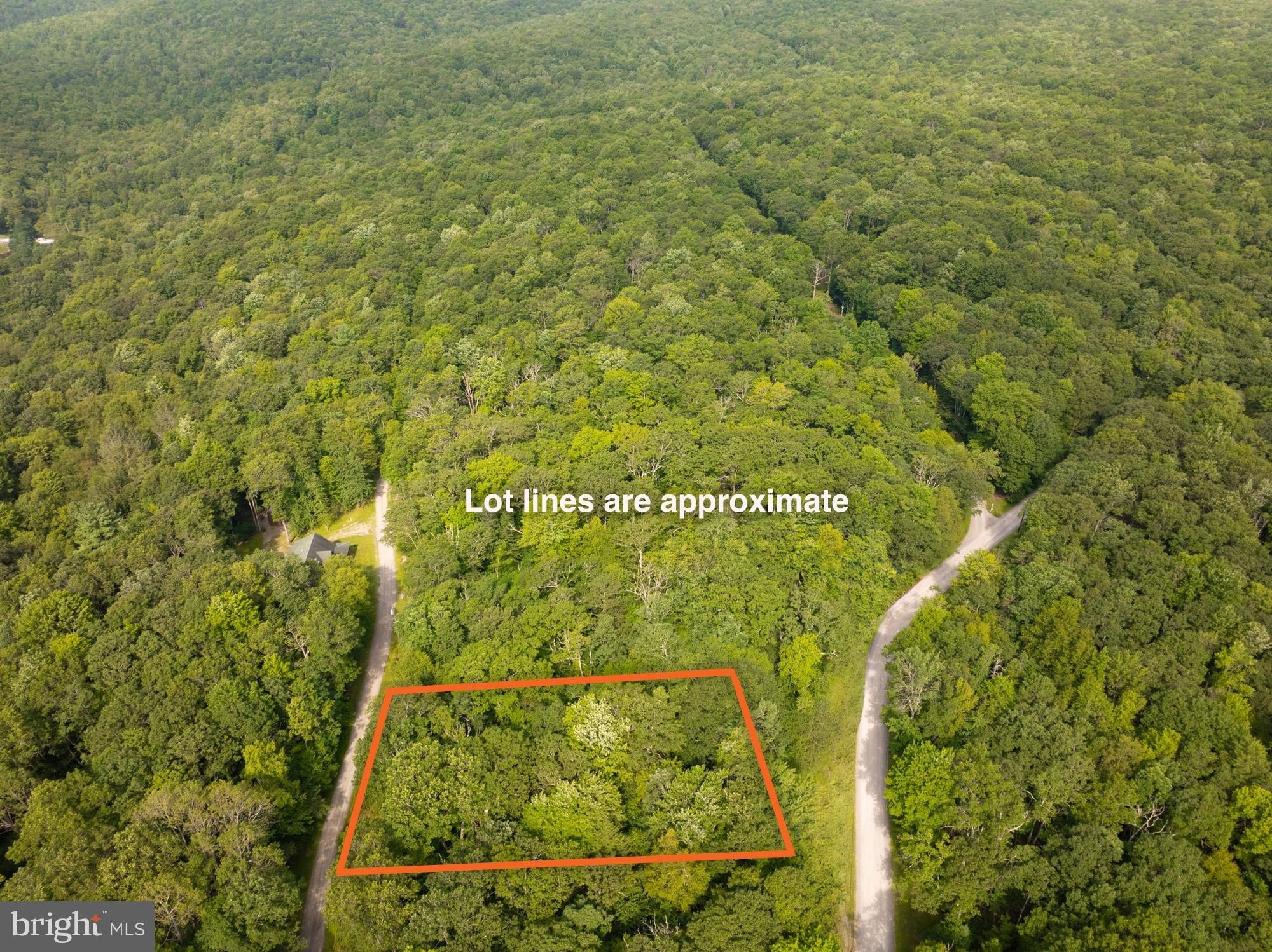 Unbuildable Lot in Mountain Resort