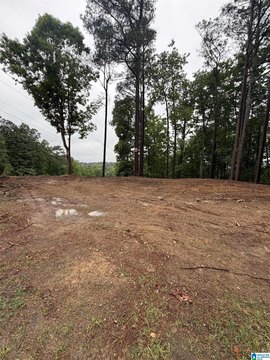 Land Parcels in Irondale, AL