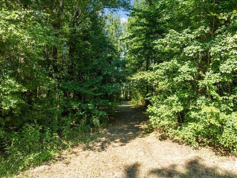 Picture 25