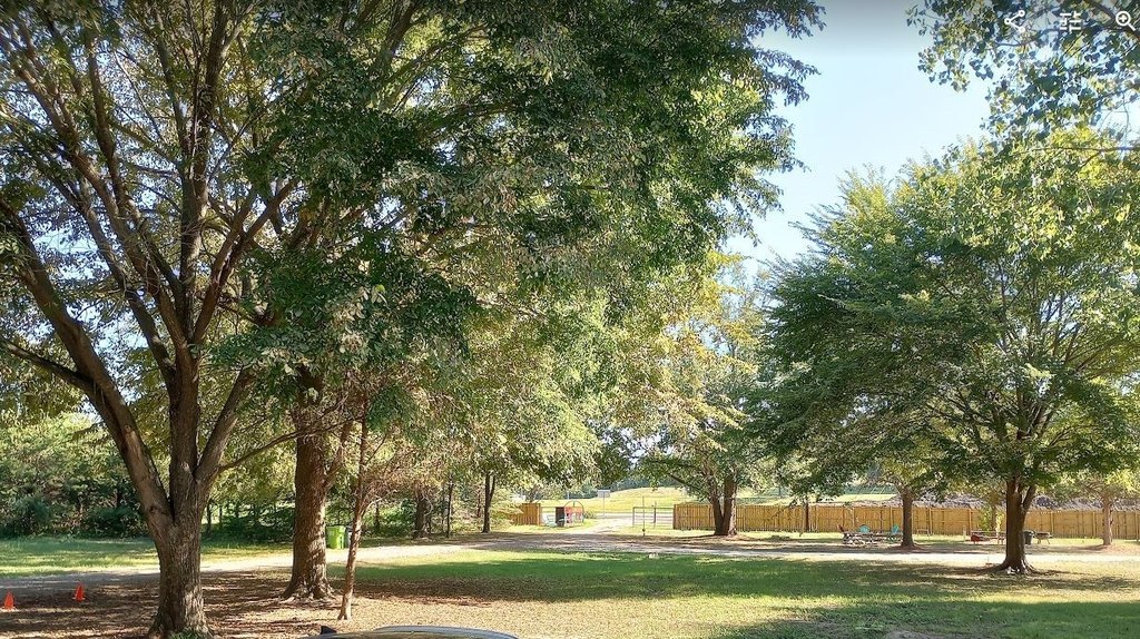 Picture 11