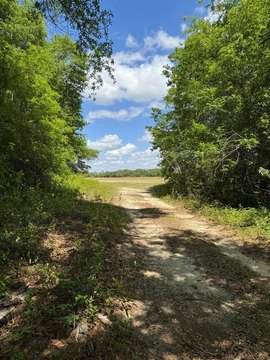 Land Near Lake Seminole