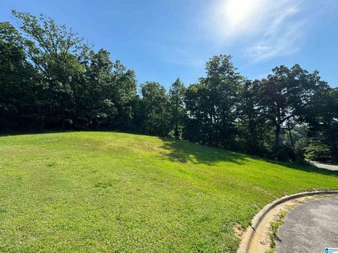 Residential Lot in Mountain Laurel