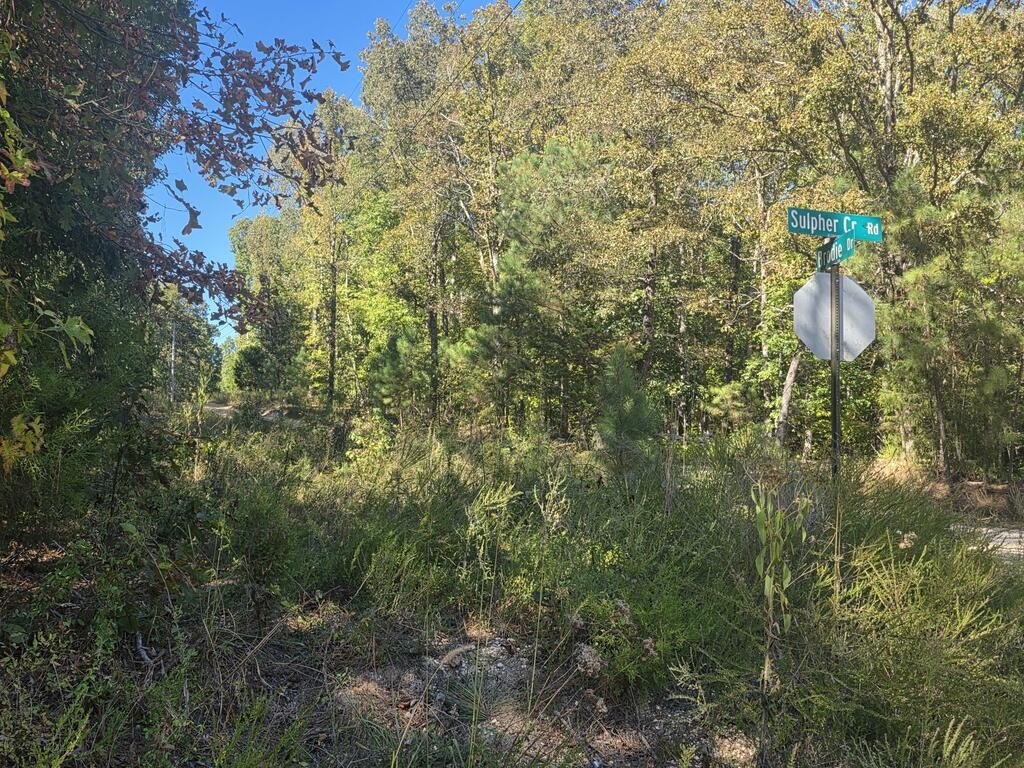 Picture 6