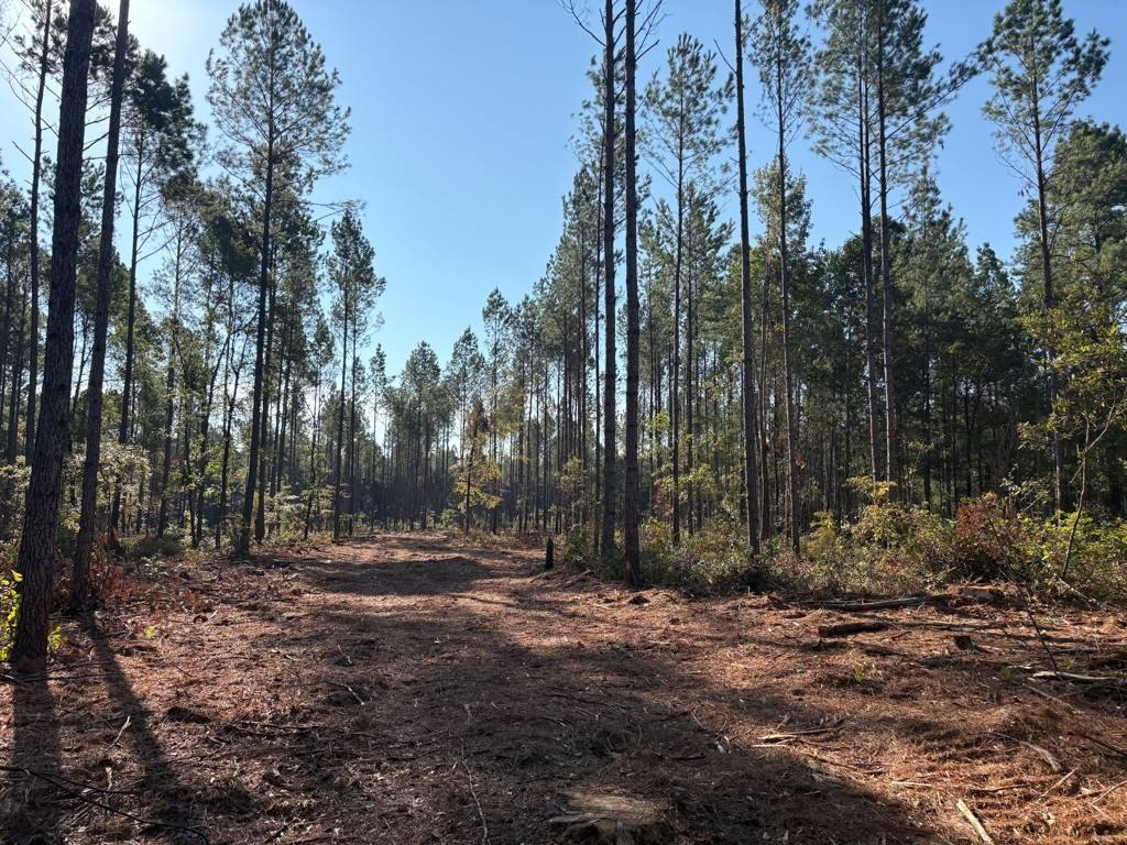 Islandton Vacant Land For Sale