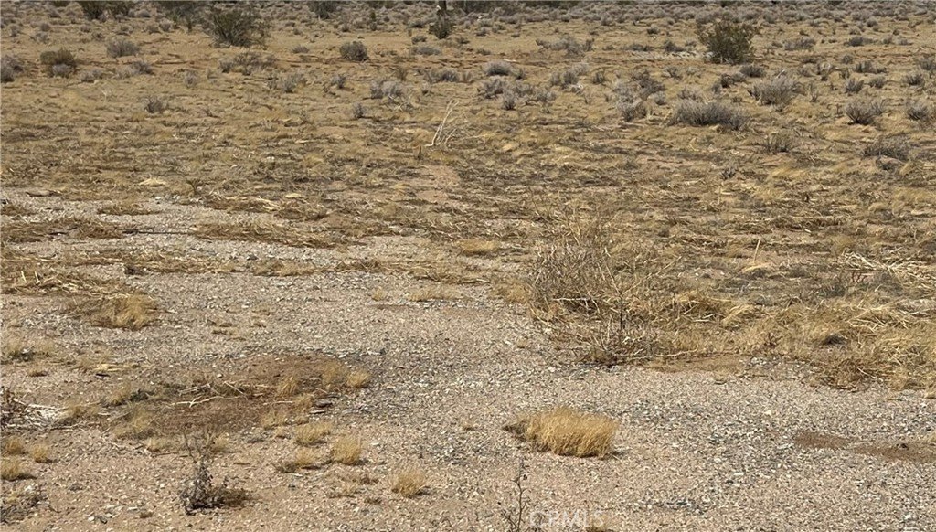Picture 3