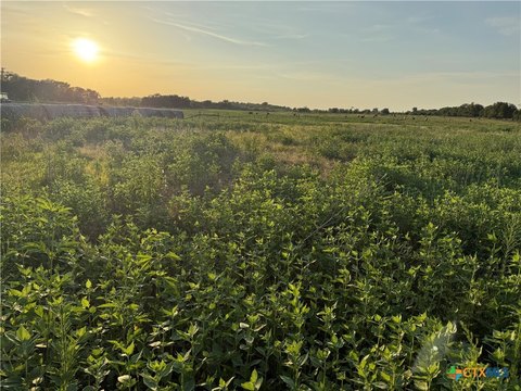 Land, Kosse, TX