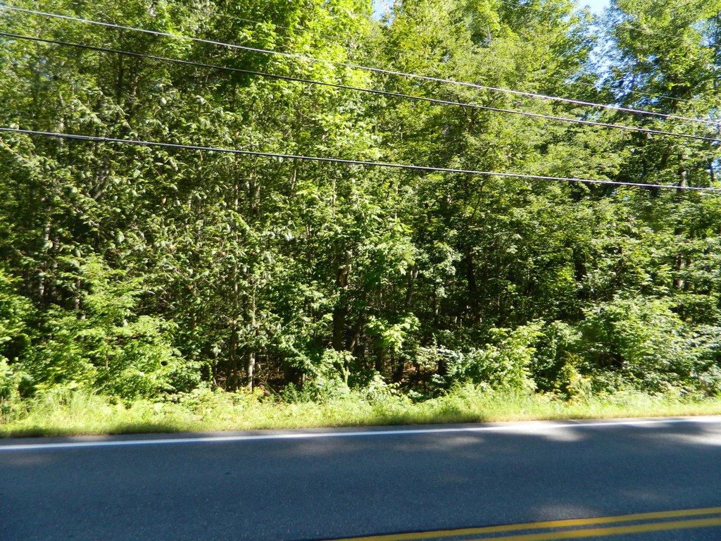Picture 2