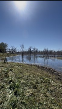 Lakefront Waterfront Land Tract