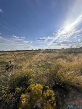 2-Acre Land Parcel, Portales, NM