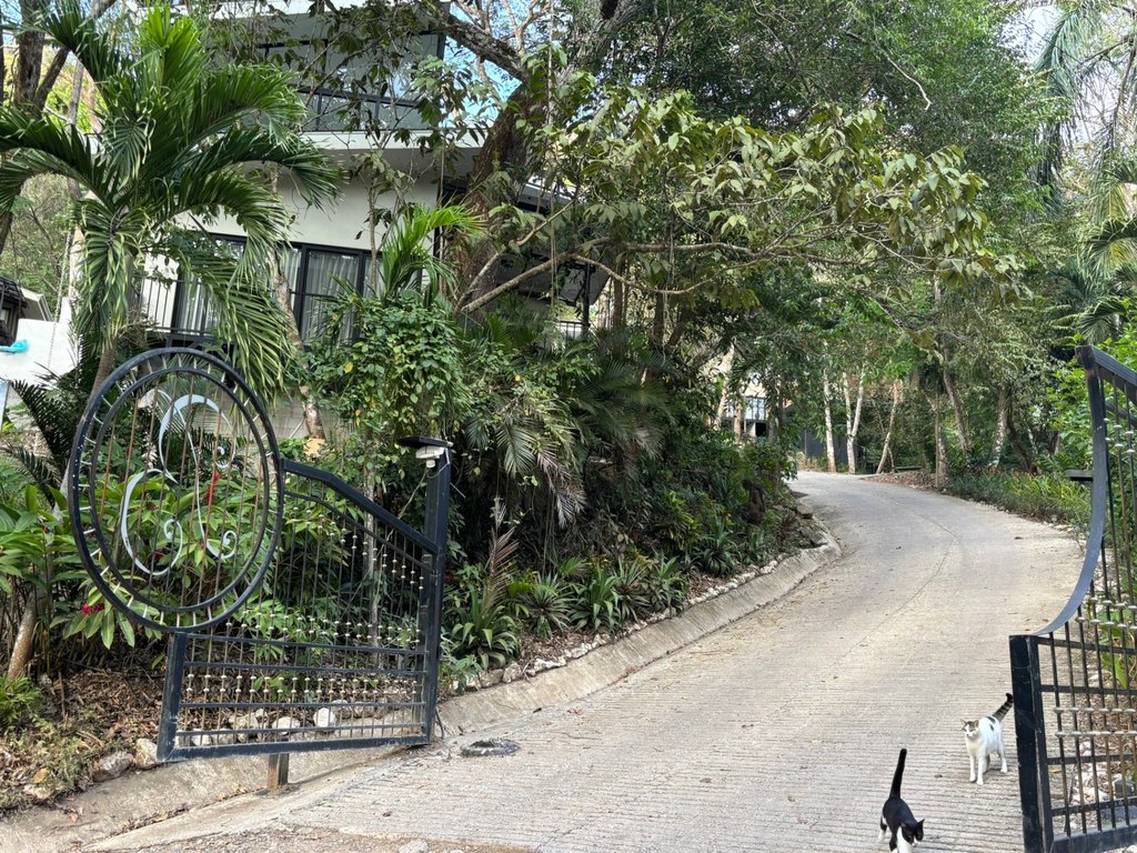 Picture 5