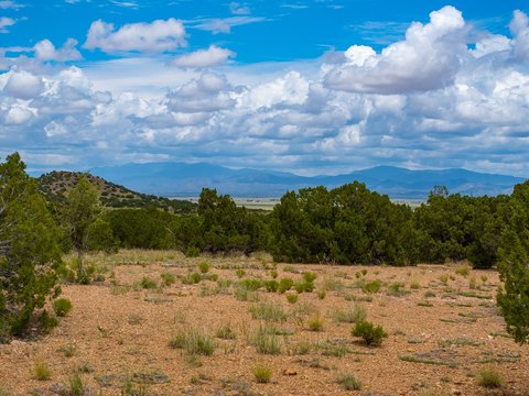 9.6 Acres in Silver Hills