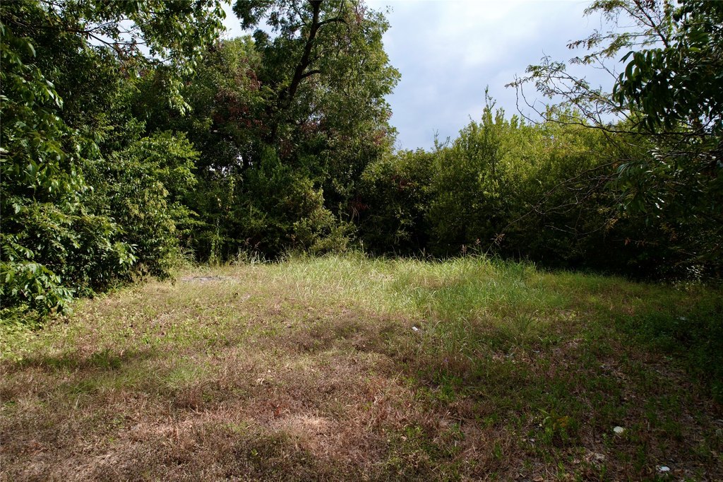 Picture 11
