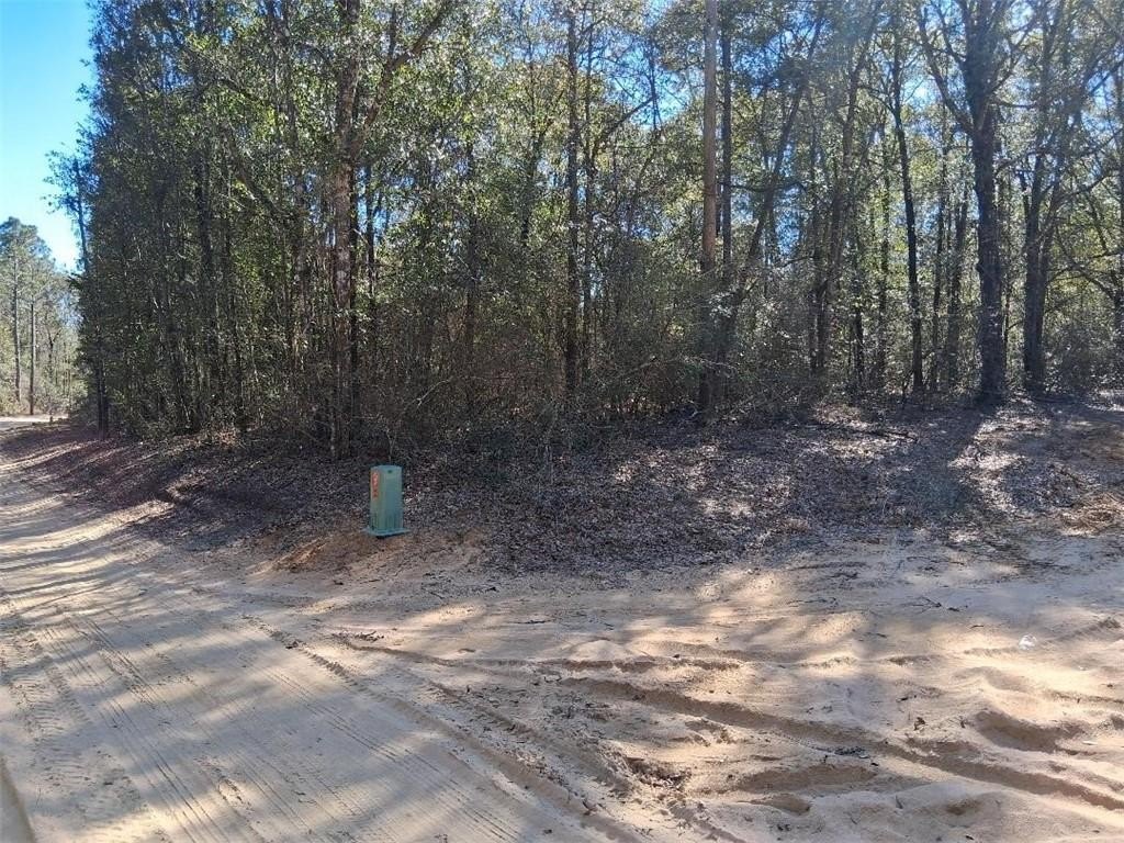 Unrestricted Land in Chunchula, AL